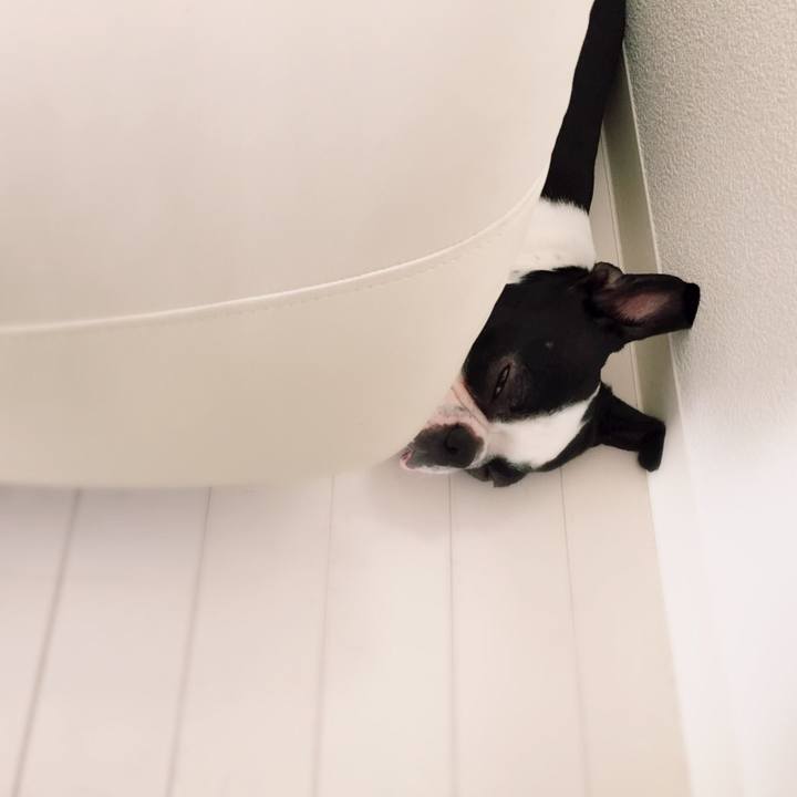 8fc187d7 8f64 4e27 aa79 96e30cb8ea0f