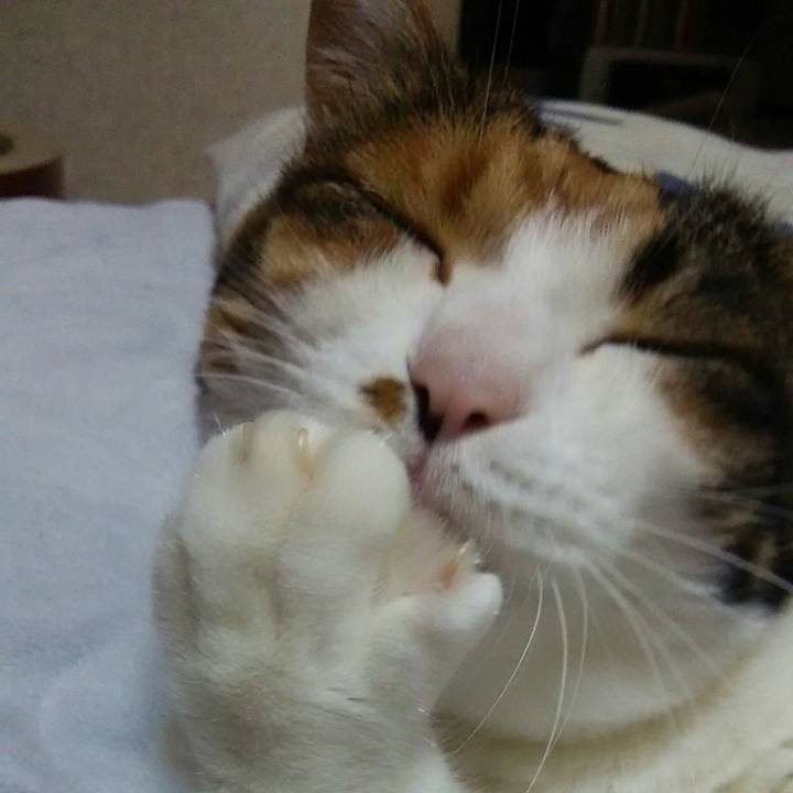 8fc2c416 cae6 4b93 80ae 1bbf8970e6fc