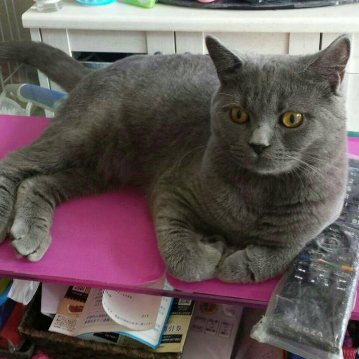 8fc31423 13ad 4317 a162 b4ee17bc7f2c