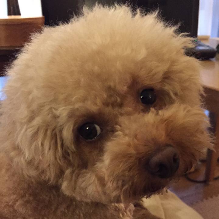 8fc378bb 8b5a 45e8 98b5 84fa3e38076b