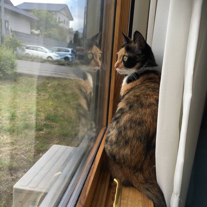 8fc3fa03 384d 43c6 8832 34130177b843