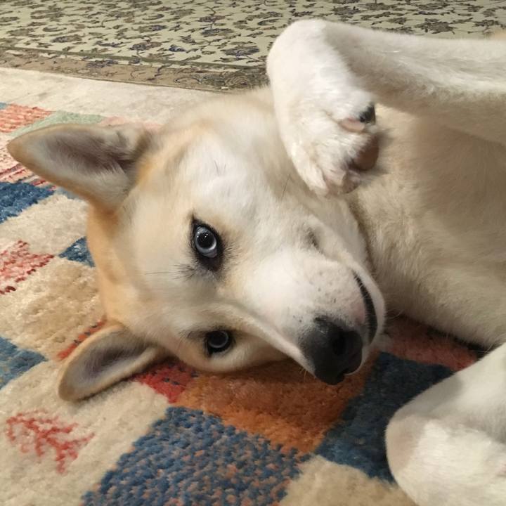 8fc41309 2311 4cbe 90bc aba071440b71