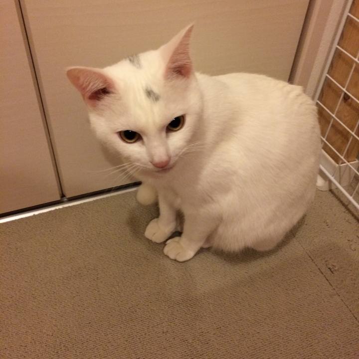 8fc551c8 f28c 415b 99a5 b7b41db3f652