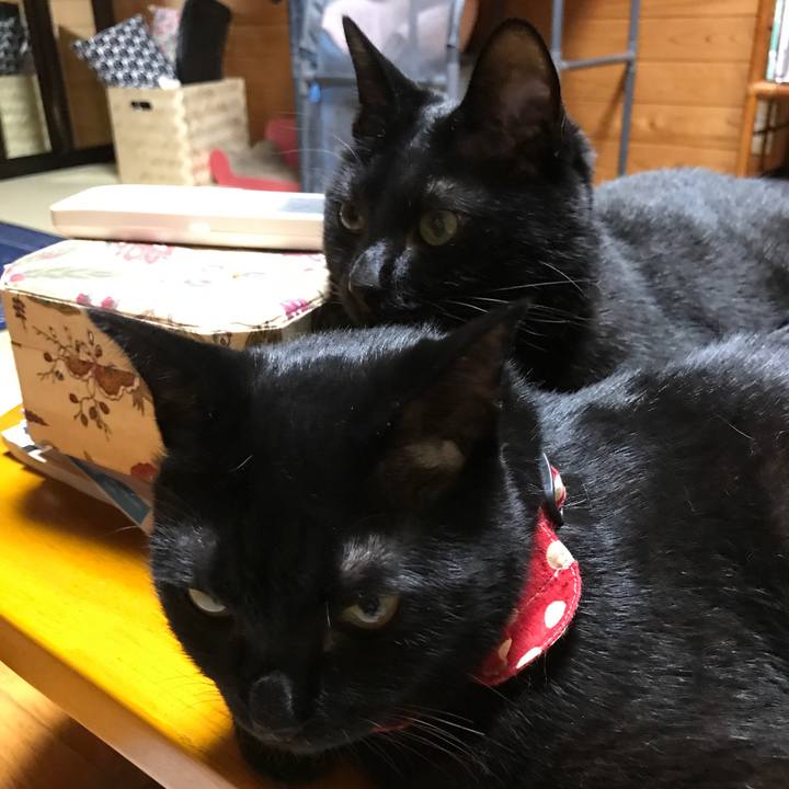 8fc6653b 06ef 4be2 9bb9 ebc13e15b70e