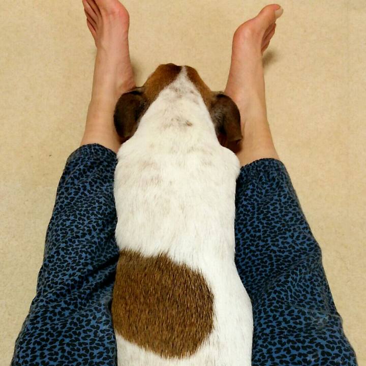 8fc66e4a 116e 4f2e 8e4f bf3387386d4b