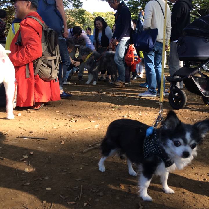 8fc67e28 bb1a 4c86 9710 4c36376e1c41