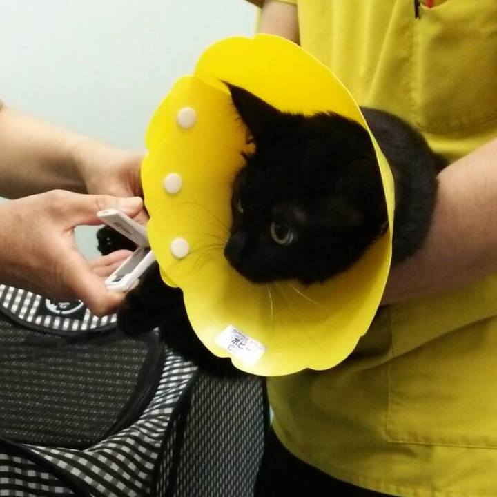 8fc6c727 a753 4cfa 97a2 29a963cd330e