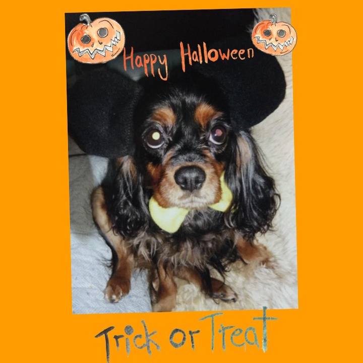 8fc709d2 f210 43cf a4c3 d5320992ded5