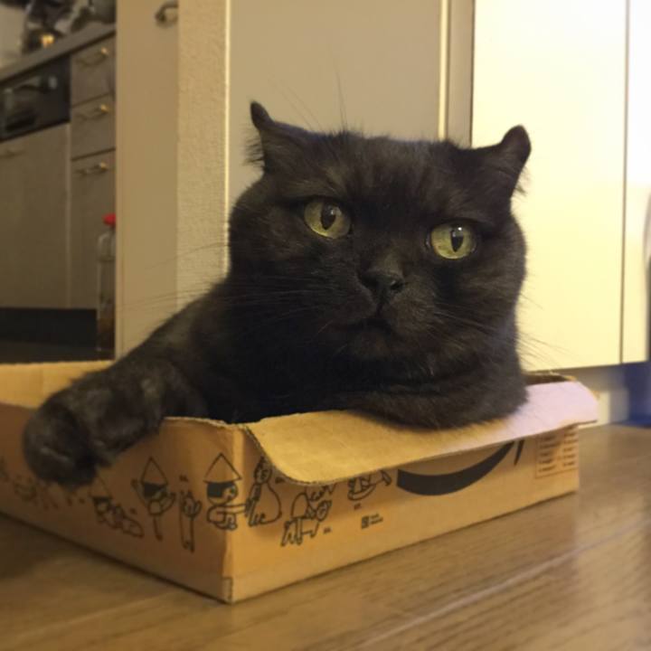 8fc7385c 7145 4287 9c14 8a65d7f0f5b5