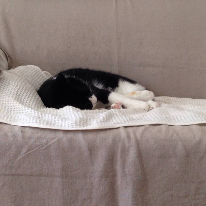 8fc770b7 95c3 44c4 bda2 4b89d2a77b52