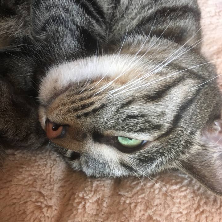 8fc82913 a673 4603 8952 e3e5046ef017