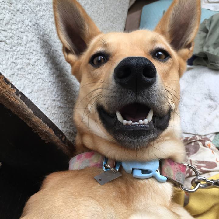 8fc86485 9776 4662 ad92 57e36e8cb6de