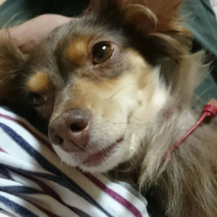 8fcb9c4f bec6 4741 b9c3 d468091ab2d4