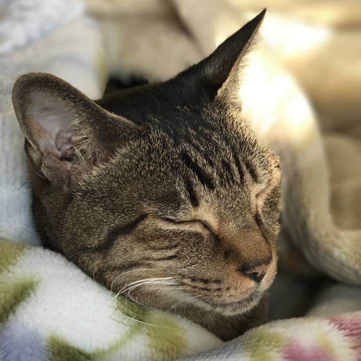 8fcc2a79 0800 49f6 8db3 23cfedba1fc6