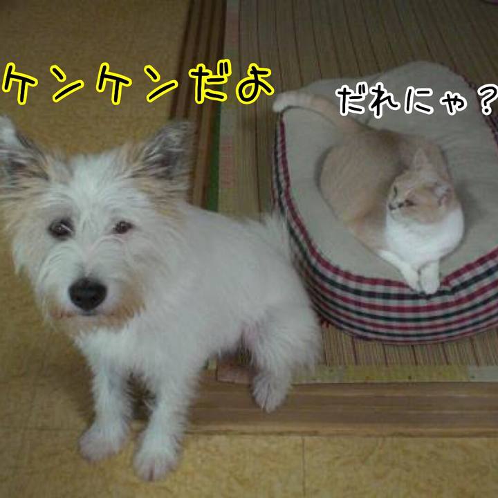 8fcd16f0 2ecc 4cc9 a224 1bfcee032186