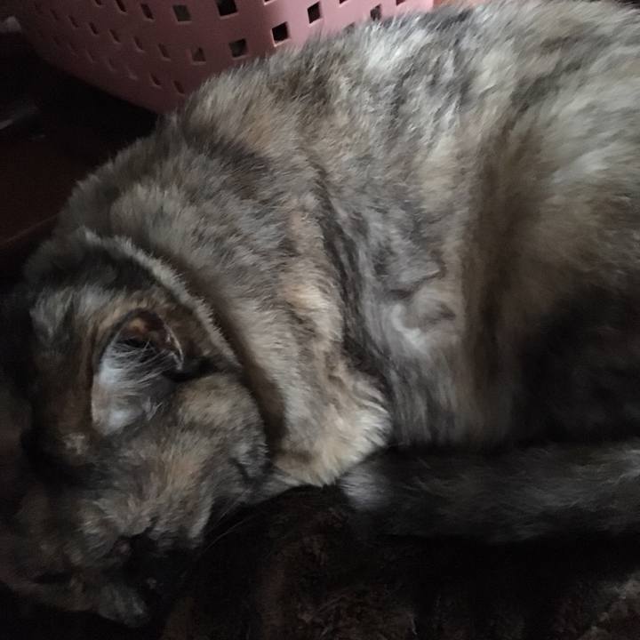 8fcd707b 17fd 4f67 a40e b4a3af9f3d00