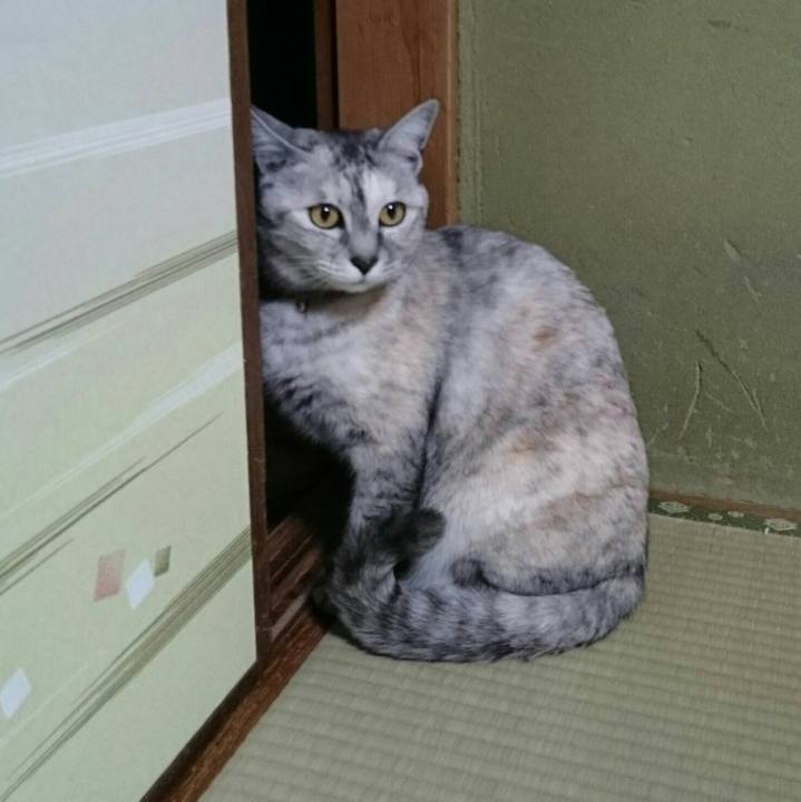 8fcd7d48 62a7 487c aade cf2e22efc70d