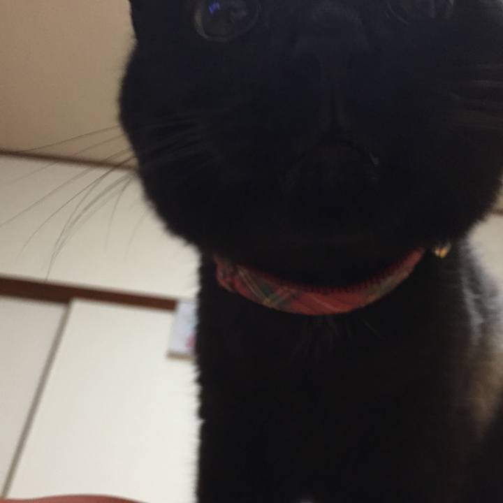 8fcd9a92 9fed 4881 a03d 44622a518e71