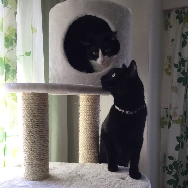 8fce1b17 b62a 4c41 afbb aba4f7eb6339