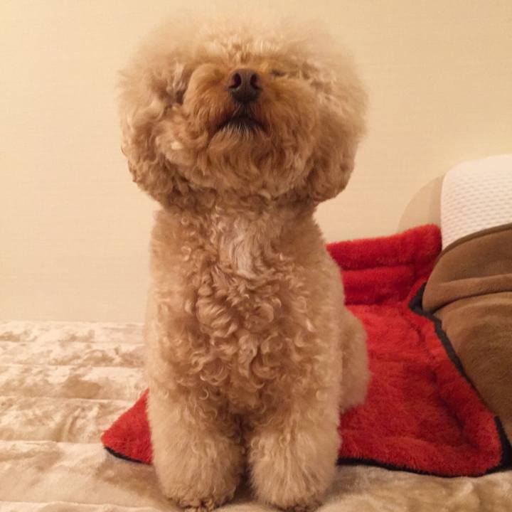 8fcea632 2f28 4ad1 b2d7 05559e48520a