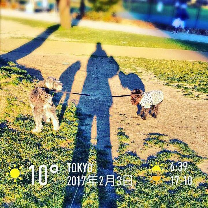 8fcef5c1 94cc 438a 8379 ef12eb1a9939