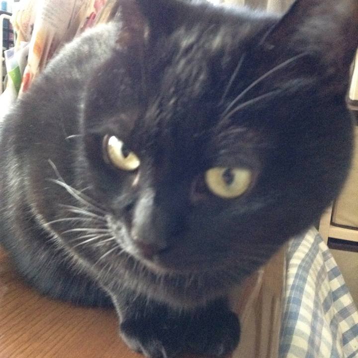 8fcf6724 3425 4c43 a559 e1f231f59f54