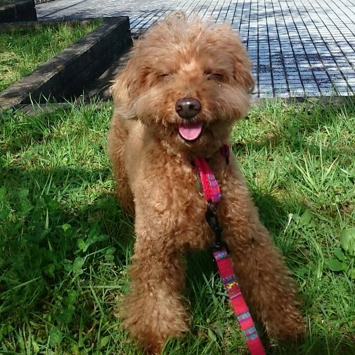 8fcf9871 e29f 4aa4 aef8 03cc8d2f865e