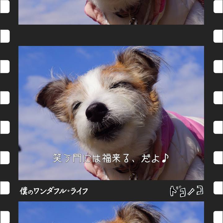 8fcfcab5 bd8f 4b1b 8c03 d680ca5631f5