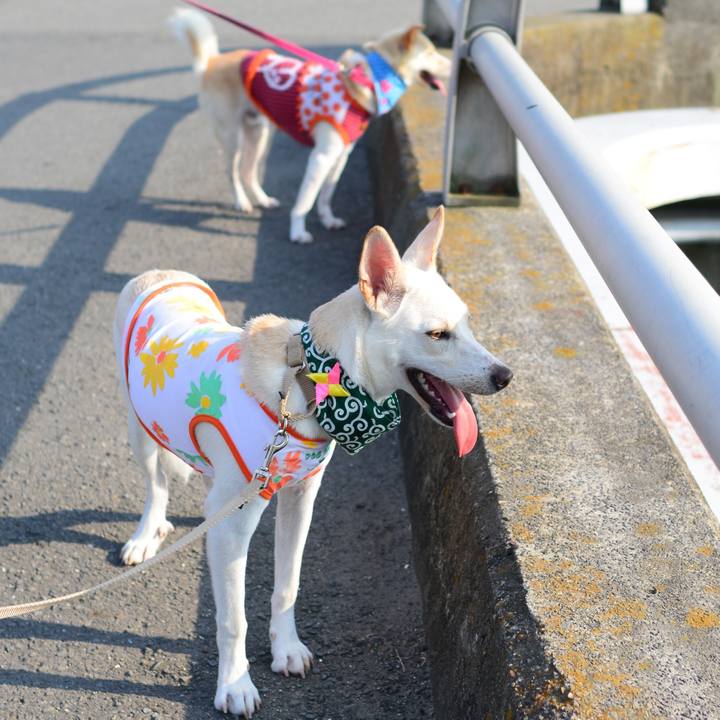 8fcfdd07 2b59 4b89 813a 949f90bb3b2c