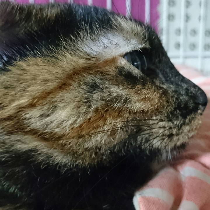 8fcffa02 3568 46c3 a0a1 152415762edc