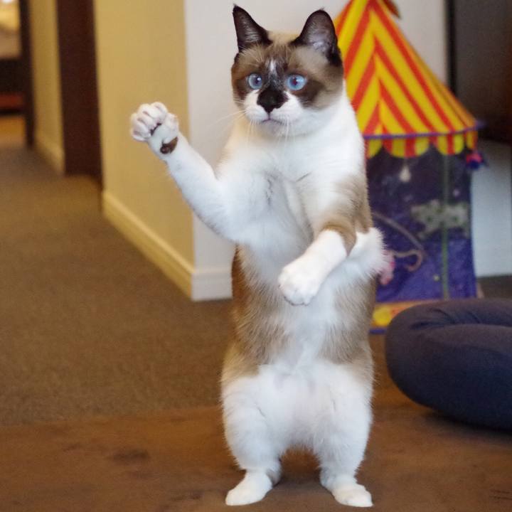 8fd02a25 44a9 4d2b 8398 9cc5d5f5a448