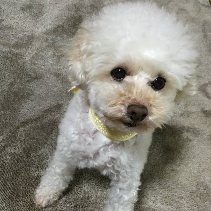 8fd04966 4bb7 4b51 9434 9513b60fa861