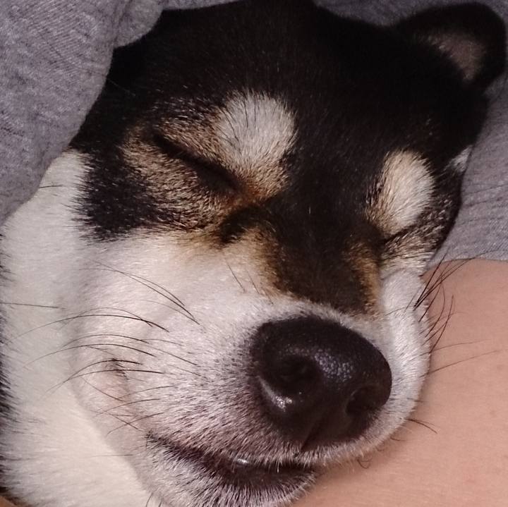 8fd140b9 a99c 43b3 a698 1c3ce293ebfa