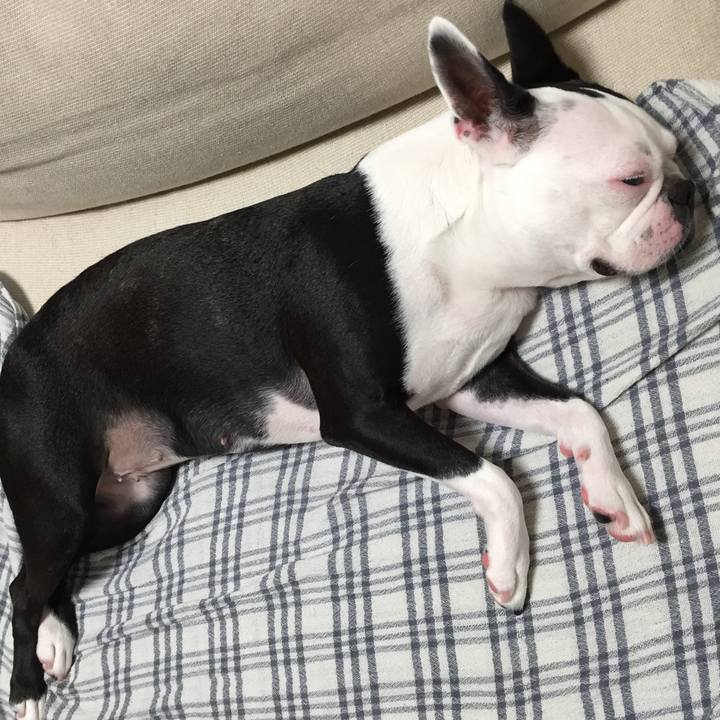 8fd1a953 bd9f 44a3 a4d5 fc86f8efb105