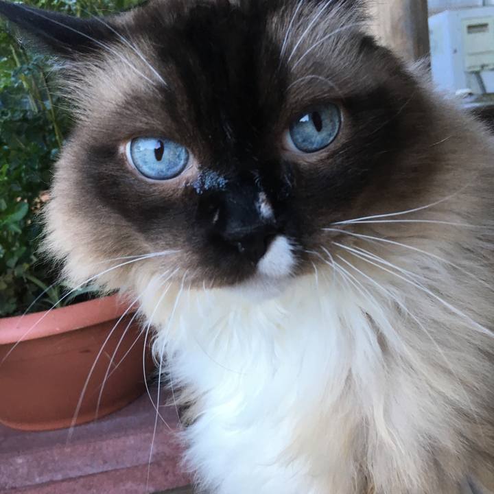 8fd20528 86bd 48da 8438 69c909ed331d