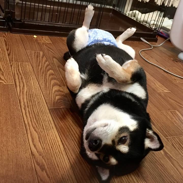 8fd2630e defd 474b a9fd 4819b0ee671c