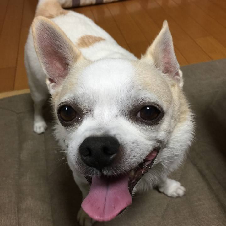 8fd27d1b 5364 499e bb1d d73e960d7422