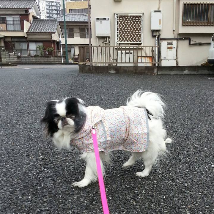 8fd30449 fb4b 4970 83c8 d6f9a30be911