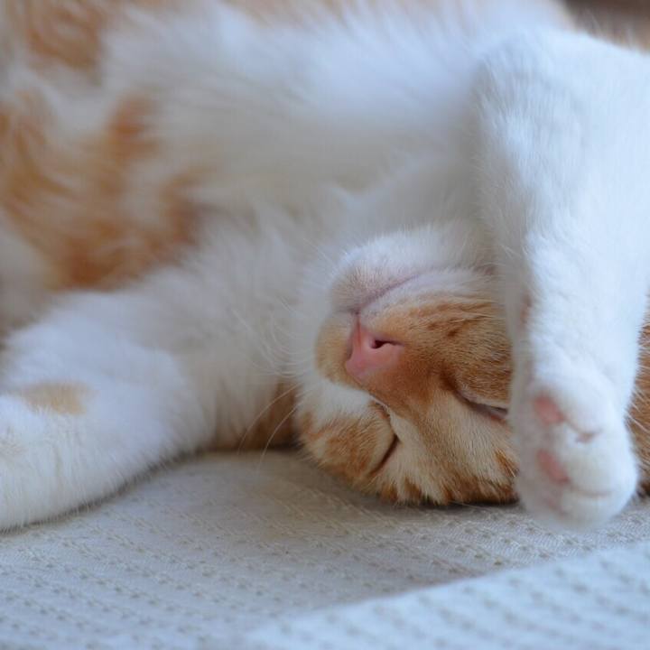 8fd3c6b1 a48e 4aaa 88ba cbf04e9071ec