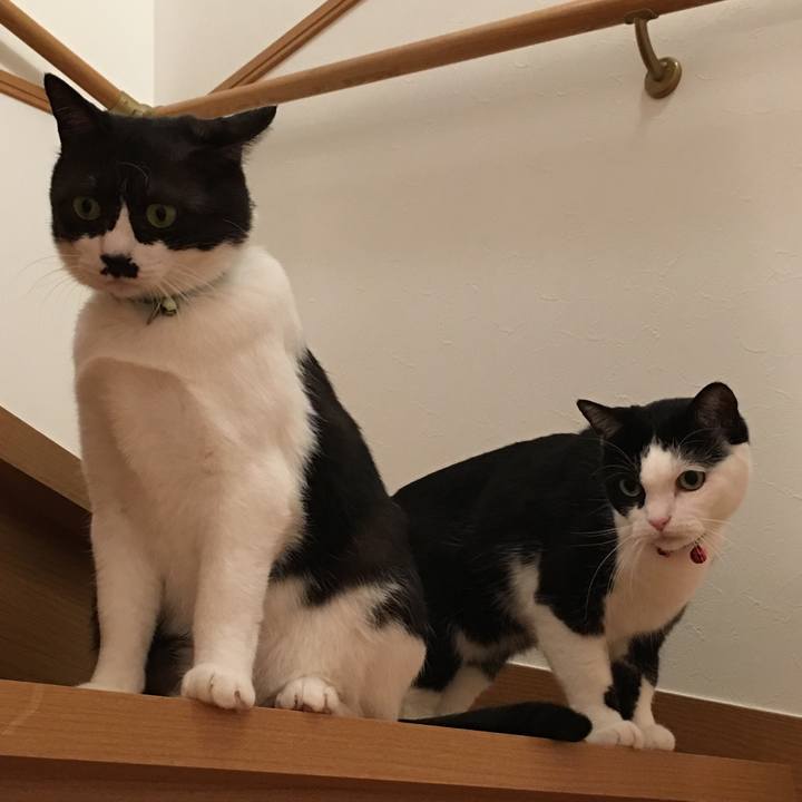 8fd3e2ed fa91 44a5 be96 ef2b6249a262