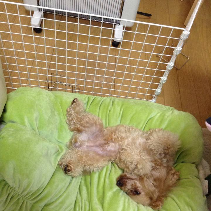 8fd4bc9e 1ef0 42a6 90a9 b5ada2f9ea3e