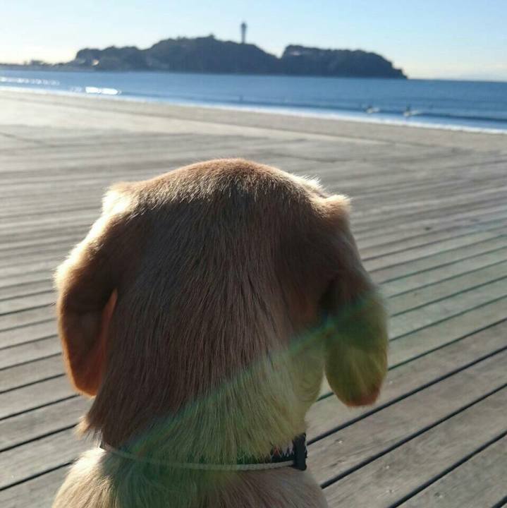 8fd4ccc7 0f22 4bec 9ab6 3449bde2a3f0