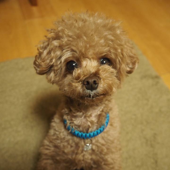 8fd5a181 5784 4cc8 b54b fbe55411044a