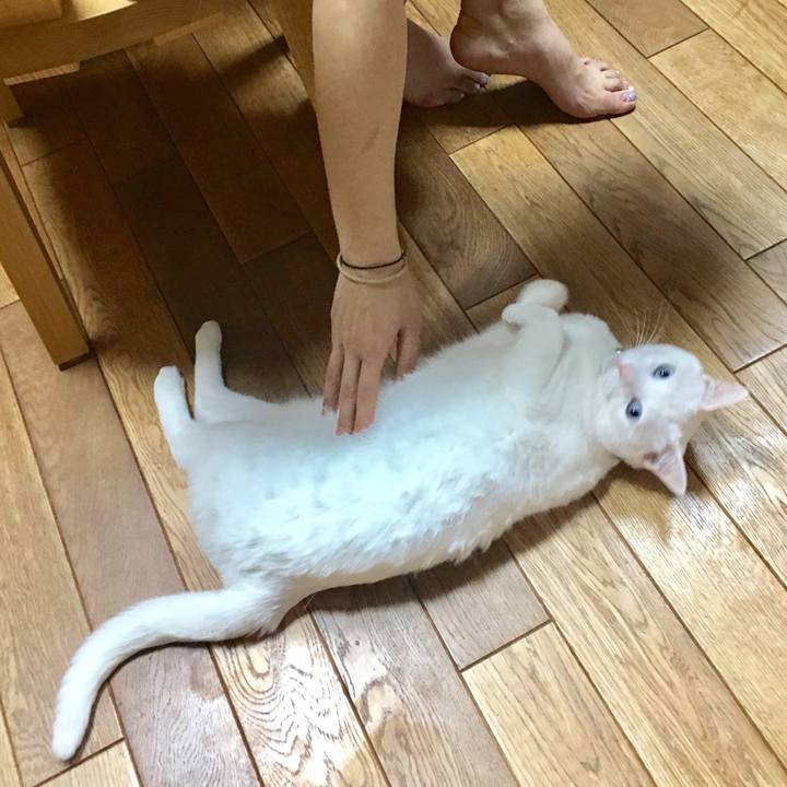 8fd5f444 dc4f 4486 baa0 025eeb24aeb3