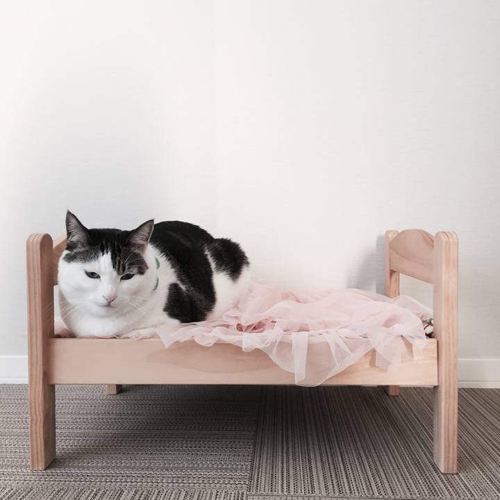 8fd6f851 667a 47c5 a71f 8cd857a8d3a2