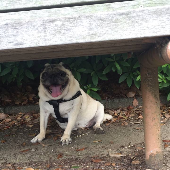 8fd71a57 384b 4021 9993 1b2fd806dbc4