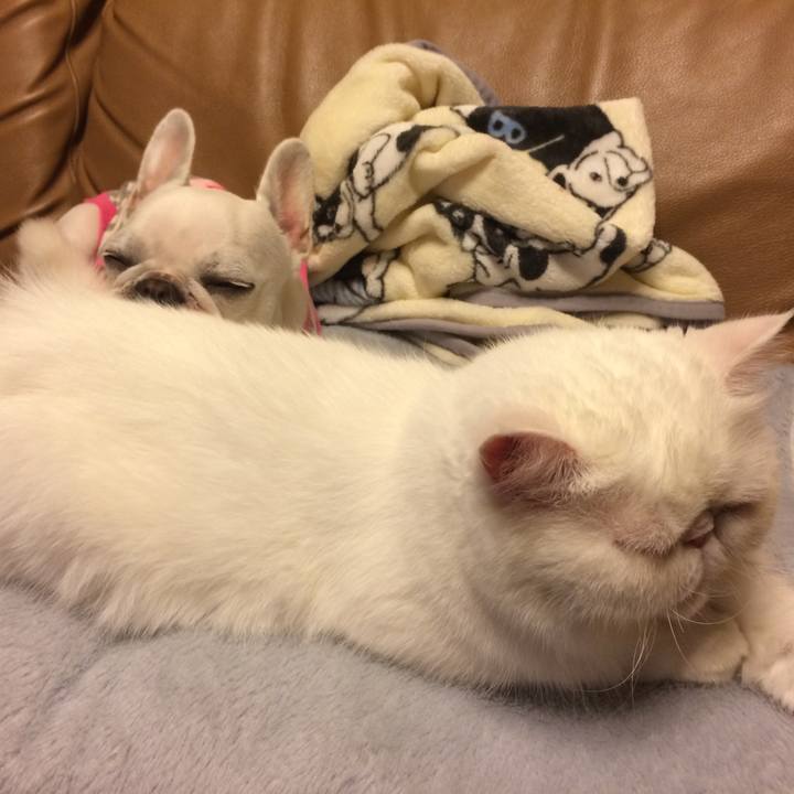 8fd75035 6831 4b62 b06a a9971742bbe5