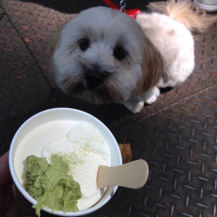 8fd755e7 1722 4119 866b 154a693031e9