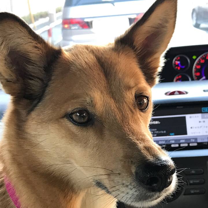 8fd8625e bba0 46b2 b787 07c0bc139407