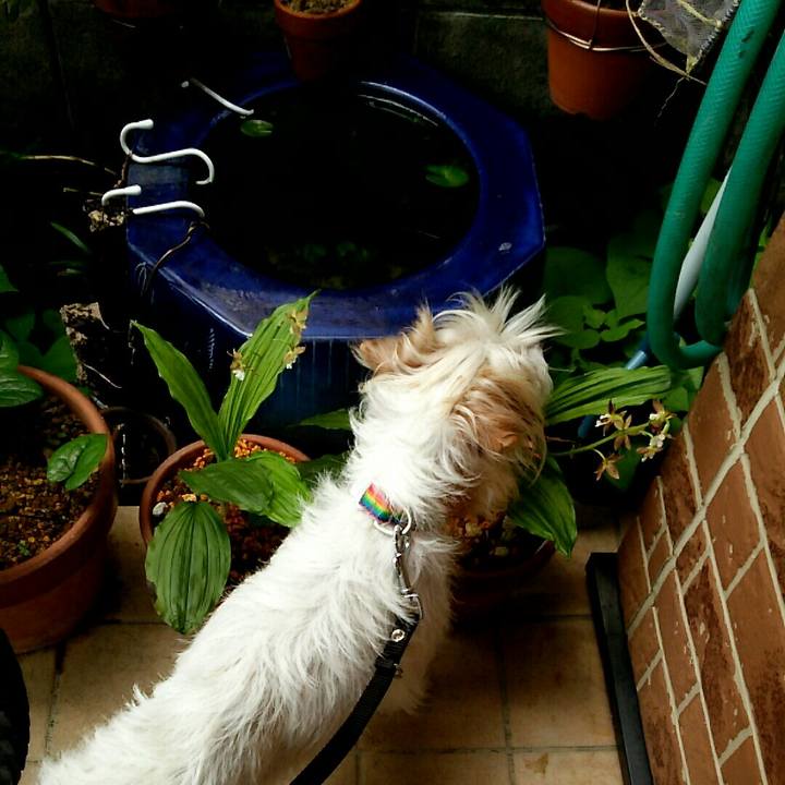 8fd87eb1 e1ef 4182 b0f0 425fa754e172